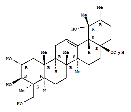 23-Hydroxytormenticacid