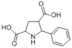 5-PHENYL-2,4-PYRROLIDINEDICARBOXYLIC ACID