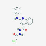 N'-(chloroacetyl)-2-(phenylamino)quinoline-4-carbohydrazide