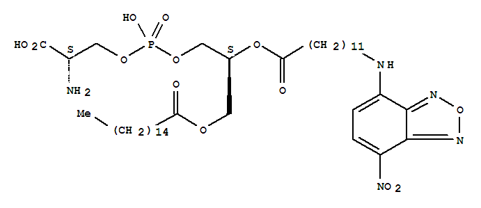 (1-Palmitoyl-2-nbd-aminododecanoyl)phosphatidylserine