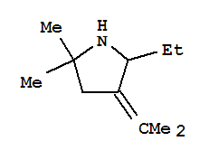 5-ethyl-2,2-dimethyl-4-(propan-2-ylidene)pyrrolidine