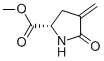 L-PROLINE,4-METHYLENE-5-OXO-,METHYL ESTER