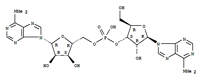 N(6),N(6)-dimethyladenylyl(3-5)N(6),N(6)-dimethyladenosine