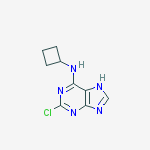 9H-PURIN-6-AMINE, 2-CHLORO-N-CYCLOBUTYL-