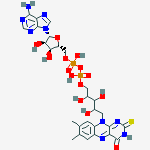 2-thio-FAD