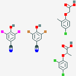 sardaine Z1