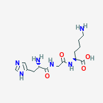 L-histidylglycyl-L-lysine
