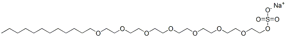 sodium 3,6,9,12,15,18,21-heptaoxatritriacontyl sulphate