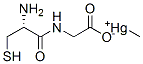 methylmercury cysteinylglycine