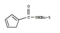 1,3-Cyclopentadiene-1-carboxamide,  N-(1,1-dimethylethyl)-