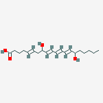 8,15-leukotriene B4
