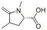 PROLINE,1,4-DIMETHYL-5-METHYLENE-