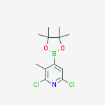 2,6-dichloro-3-methyl-4-(4,4,5,5-tetramethyl-1,3,2-dioxaborolan-2-yl)pyridine molecular structure