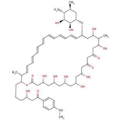 N-succinylperimycin molecular structure