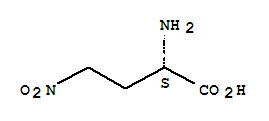 4-nitro-2-aminobutyric acid molecular structure