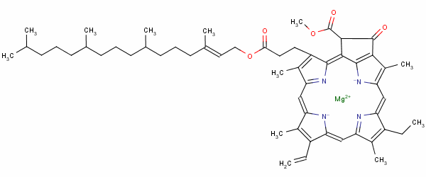 protochlorophyll molecular structure