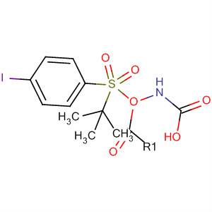 Carbamic acid, [(4-iodophenyl)sulfonyl]-, 1,1-dimethylethyl ester