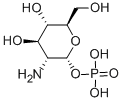ALPHA-D-GLUCOSAMINE 1-PHOSPHATE molecular structure