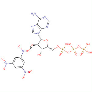 Adenosine 5'-(tetrahydrogen triphosphate), 2'-O-(2,4,6-trinitrophenyl)- molecular structure