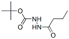 HYDRAZINECARBOXYLIC ACID 2-(1-OXOBUTYL)-,TERT-BUTYL ESTER