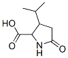 5-oxo-3-propan-2-yl-pyrrolidine-2-carboxylic acid