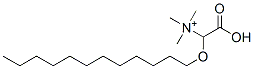 N-Dodecyloxycarboxymethyl-N,N,N-trimethylammonium molecular structure