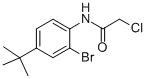 N1-[2-BROMO-4-(TERT-BUTYL)PHENYL]-2-CHLOROACETAMIDE