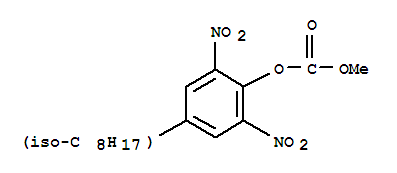Carbonic acid,4-isooctyl-2,6-dinitrophenyl methyl ester (8CI)