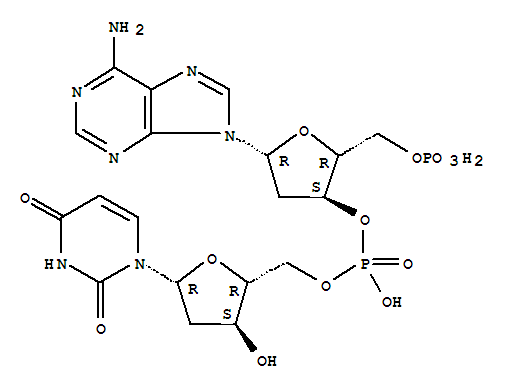 POLY(2-DEOXYINOSINIC-2-DEOXYCYTIDYLIC ACID) SODIUM SALT molecular structure