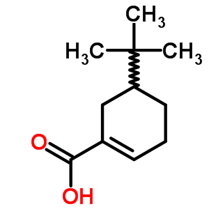 5-tert-butylcyclohex-1-ene-1-carboxylic acid molecular structure