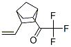 Ethanone,1-(5-ethenylbicyclo[2.2.1]hept-2-yl)-2,2,2-trifluoro- molecular structure
