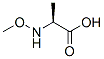 ALANINE,N-METHOXY-
