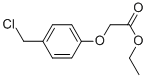 (4-CHLOROMETHYL-PHENOXY)-ACETIC ACID ETHYL ESTER molecular structure