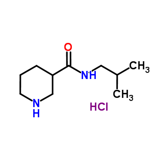 rac Piperidine-3-carboxylic acid isobutylamide x HCl